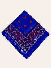 Charger l'image dans la galerie, Les Bandanas